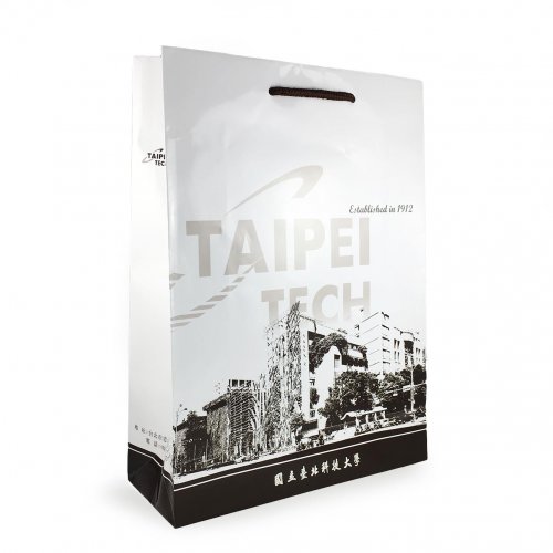 【最後3個，售完500個起做】TAIPEITECH手提紙袋35cm